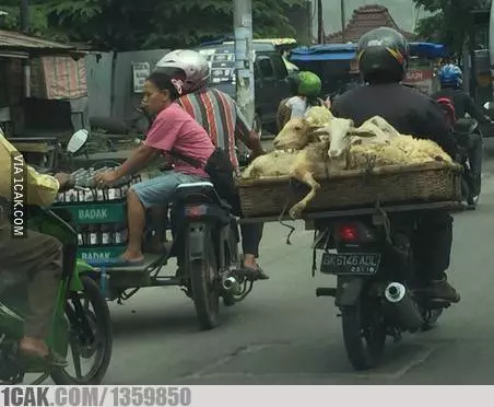 pengendara motor bawa barang ini bikin bingung © 2020 1cak.com pengendara motor bawa barang ini bikin bingung © 2020 1cak.com