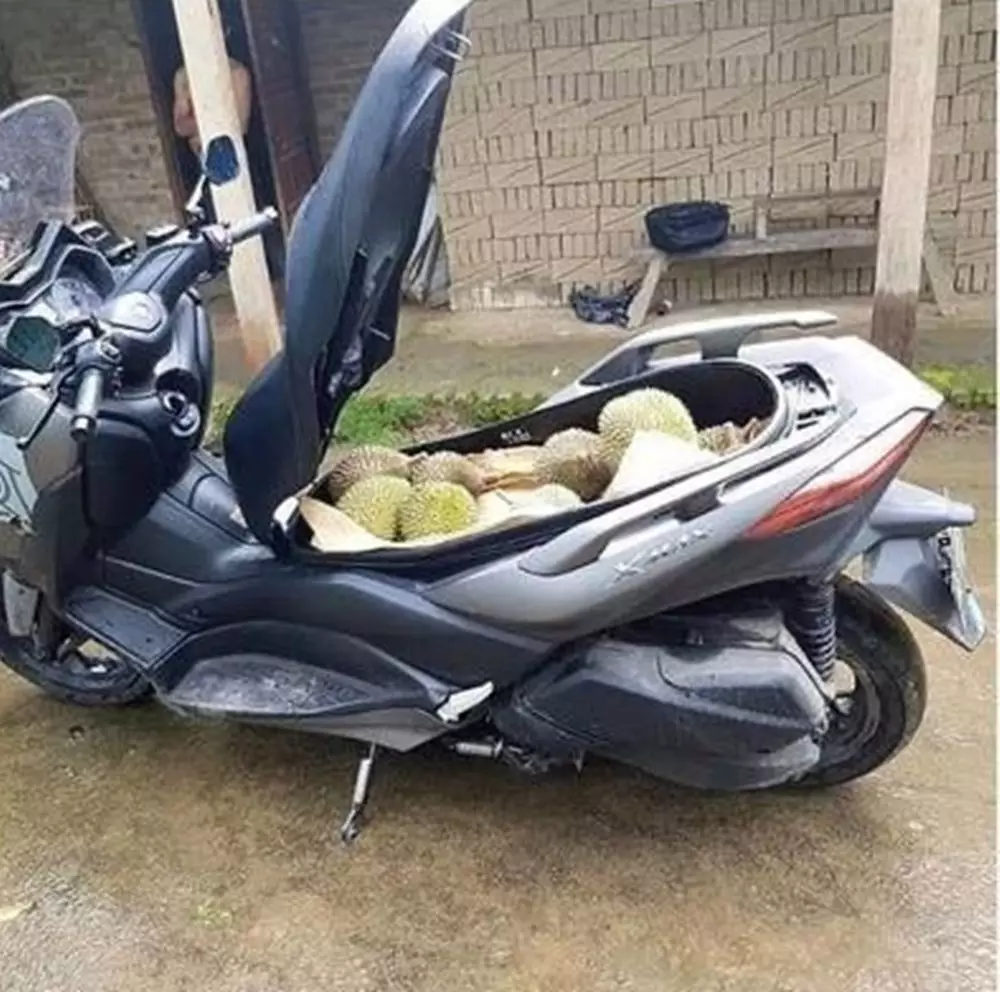 pengendara motor bawa barang ini bikin bingung © 2020 1cak.com pengendara motor bawa barang ini bikin bingung © 2020 1cak.com