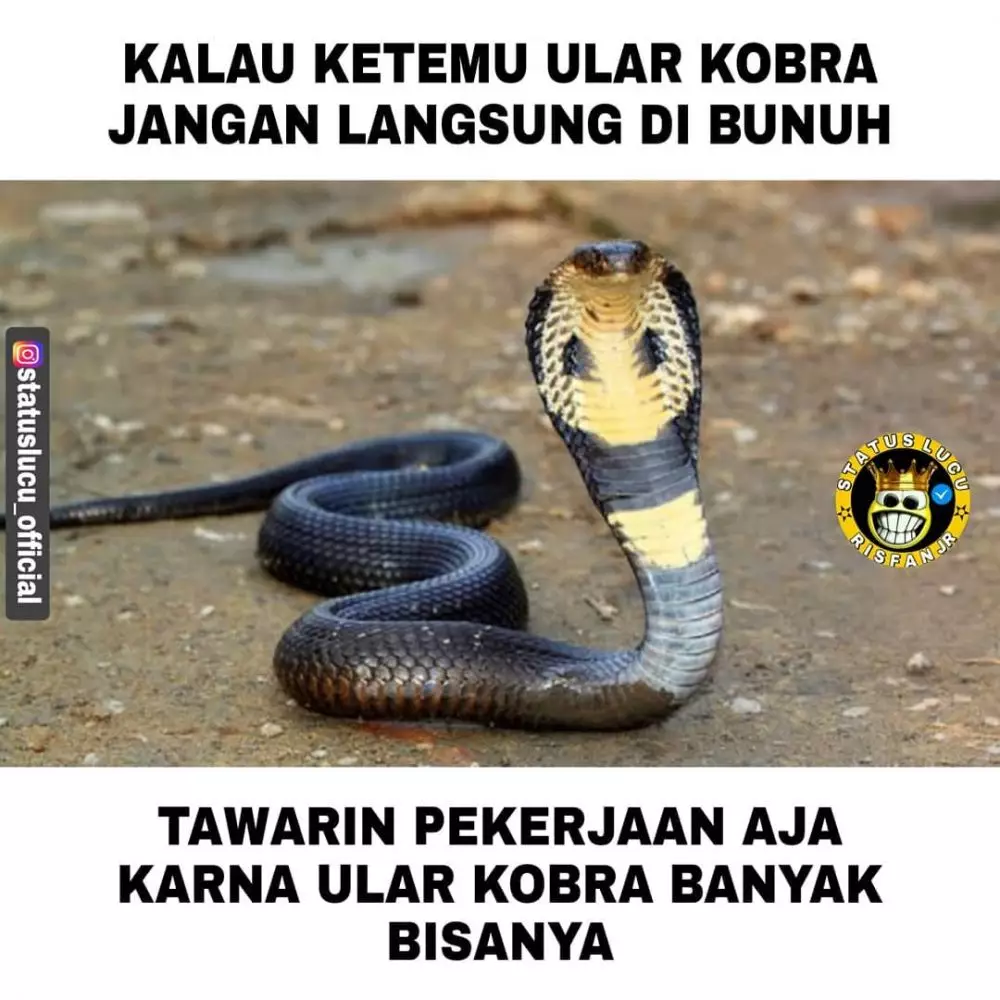meme lucu ngomongin pekerjaan © 2020 instagram.com