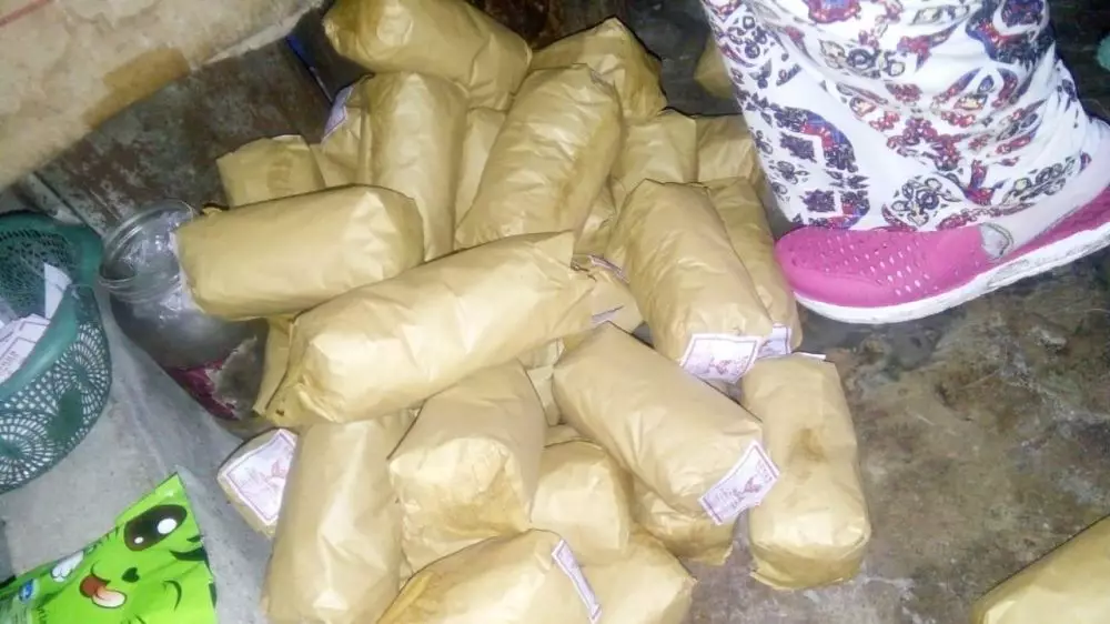 Mi sohun kecoak  liputan6.com  Mi sohun kecoak  liputan6.com