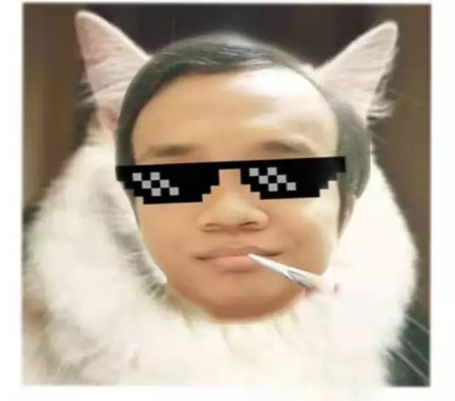 editan lucu wajah kucing berbagai sumber editan lucu wajah kucing berbagai sumber