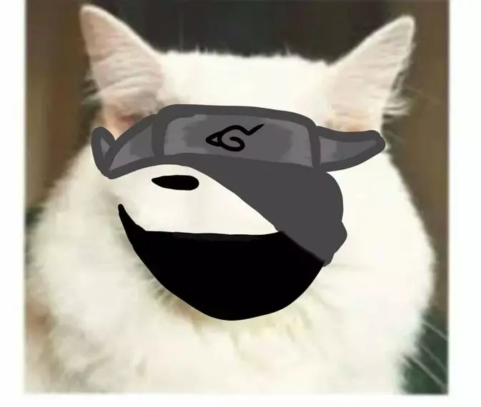 editan lucu wajah kucing berbagai sumber editan lucu wajah kucing berbagai sumber