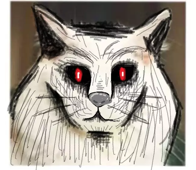 editan lucu wajah kucing berbagai sumber editan lucu wajah kucing berbagai sumber