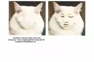 10 Editan lucu wajah kucing ini bikin orang nggak jadi gemas