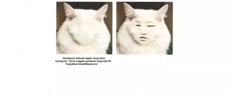 10 Editan lucu wajah kucing ini bikin orang nggak jadi gemas