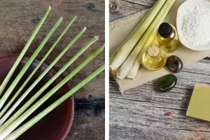 16 Manfaat serai untuk kecantikan & kesehatan, menurunkan berat badan