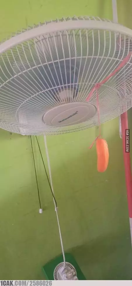 kreasi nyeleneh perabot rumah tangga © 2020 berbagai sumber