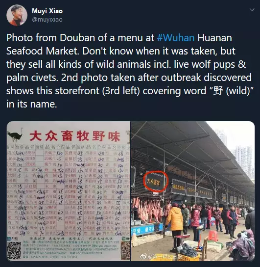 awal mula tersebarnya virus corona © 2020 berbagai sumber