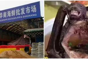 Awal mula tersebarnya virus Corona, begini dugaan para ilmuwan