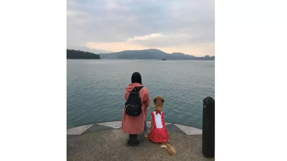 Anjing selamatkan majikannya Facebook Anjing selamatkan majikannya Facebook