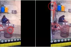 Viral pria tak sadar burung kabur dari kandang di depan mata, kocak
