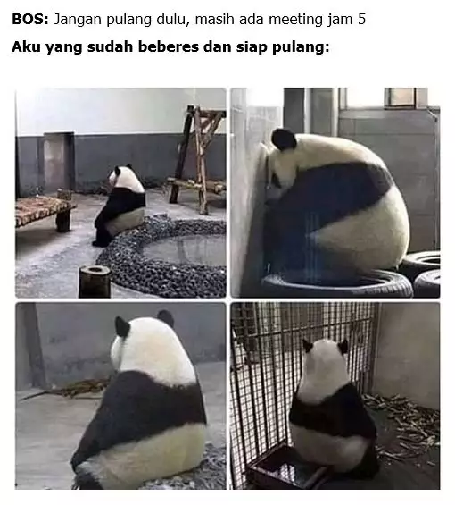 7 Lelucon anak kantor jadi Sobat Perih, bikin tersenyum getir berbagai sumber