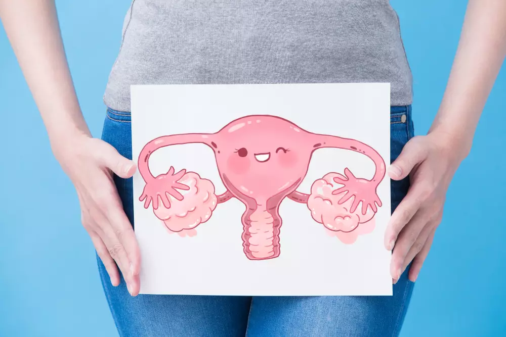 Pil KB bantu kurangi risiko 3 jenis kanker shutterstock.com