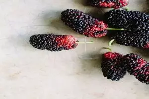 10 Jenis berry dan manfaatnya, baik untuk menurunkan berat badan