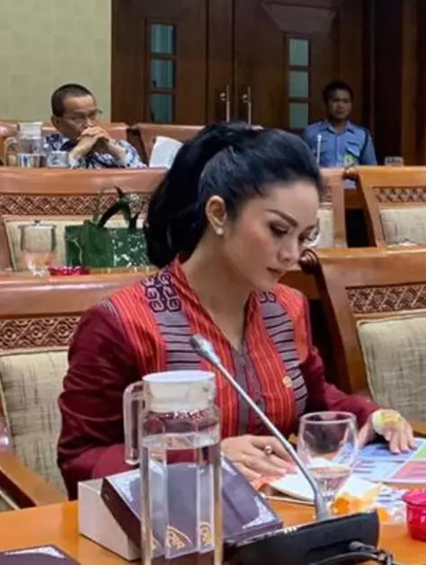 momen krisdayanti bekerja jadi DPR Instagram momen krisdayanti bekerja jadi DPR Instagram
