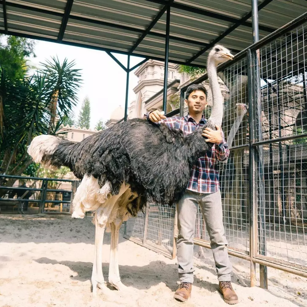 koleksi hewan langka sepupu Raffi Ahmad instagram  koleksi hewan langka sepupu Raffi Ahmad instagram