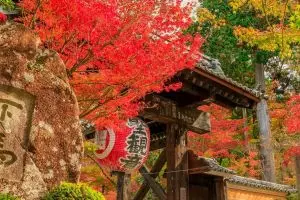 Destinasi wisata terbaik musim gugur di Jepang