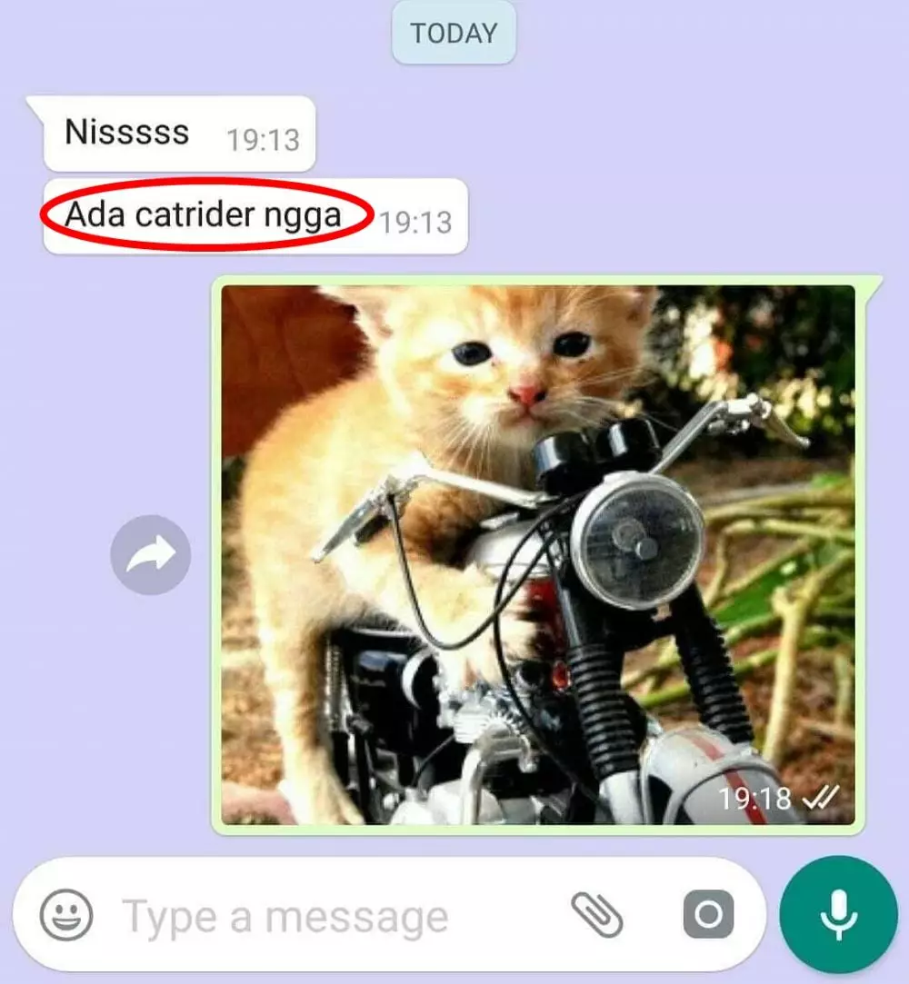 chat WA lucu salah ketik © 2020 instagram.com