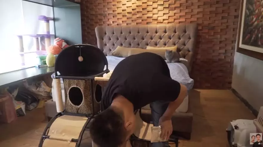 kamar kucing baim © 2020 brilio.net