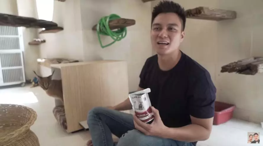 kamar kucing baim © 2020 brilio.net