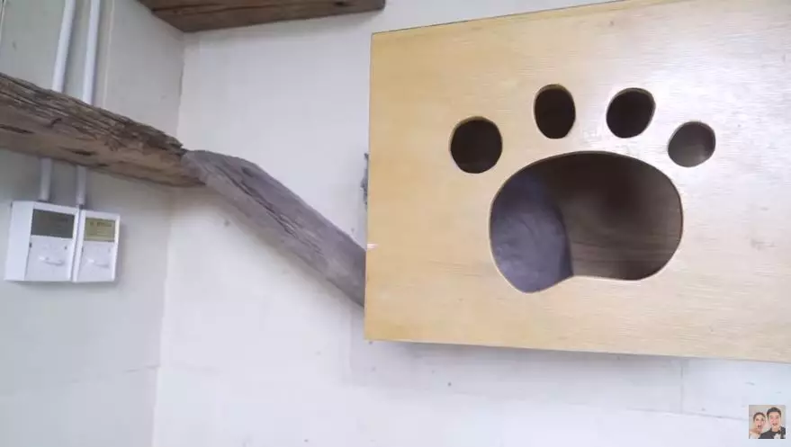 kamar kucing baim © 2020 brilio.net