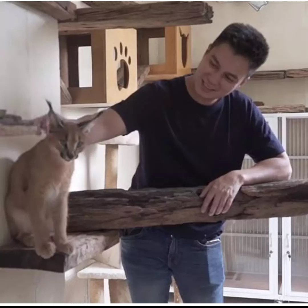 8 Potret kamar hewan peliharaan Baim Wong, mewah banget