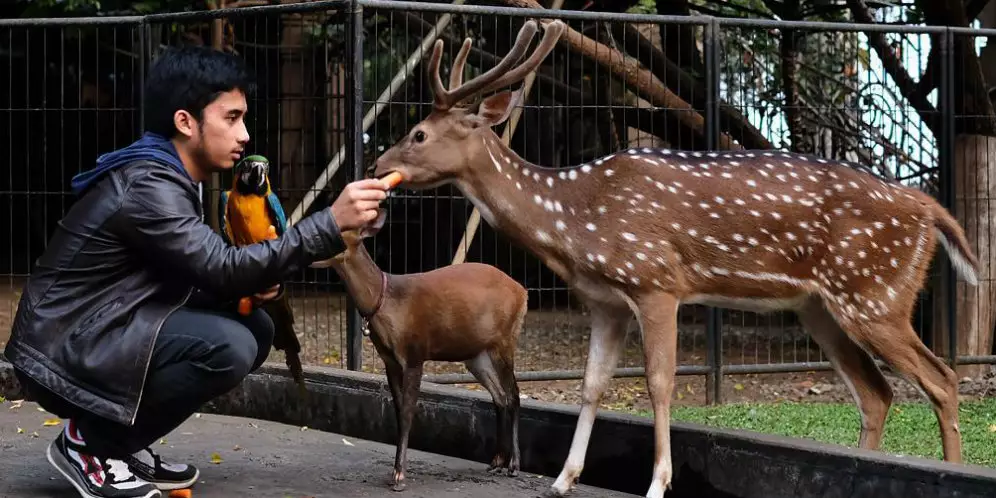 kandang hewan seleb © 2020 brilio.net kandang hewan seleb © 2020 brilio.net