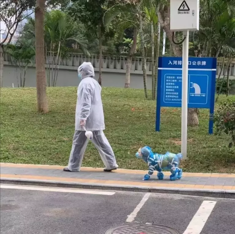 Kucing masker © 2020 brilio.net