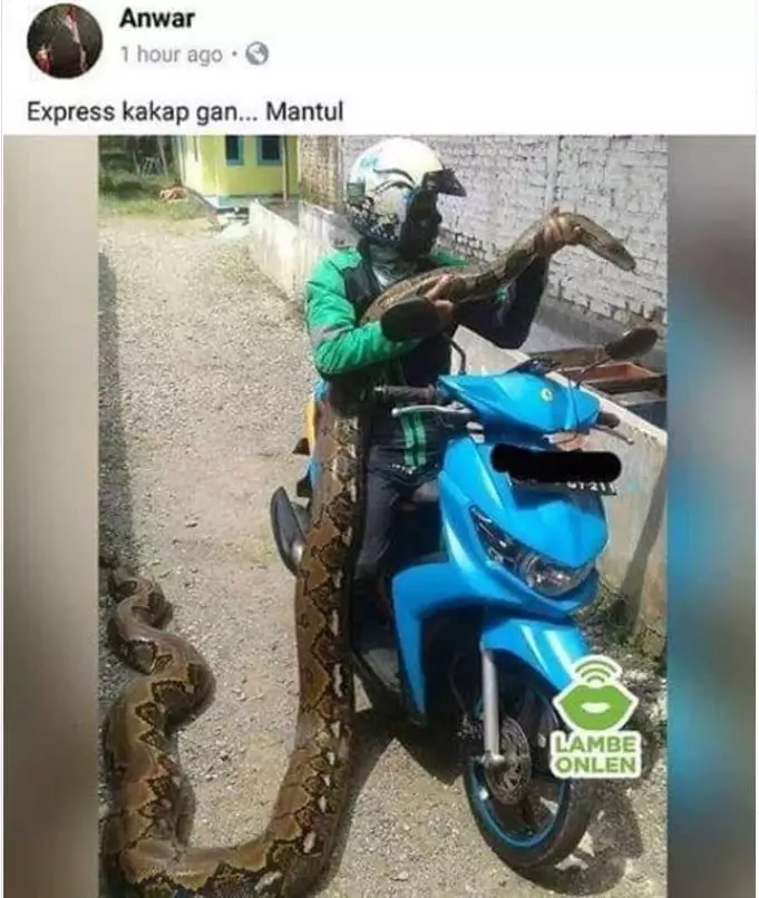 driver waktu luang © 2020 brilio.net