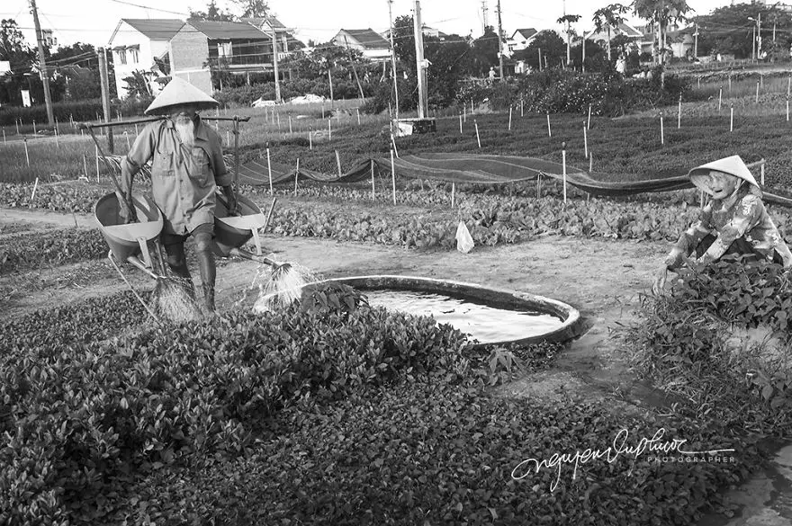 Potret viral lansia Vietnam © 2020 brilio.net Potret viral lansia Vietnam © 2020 brilio.net