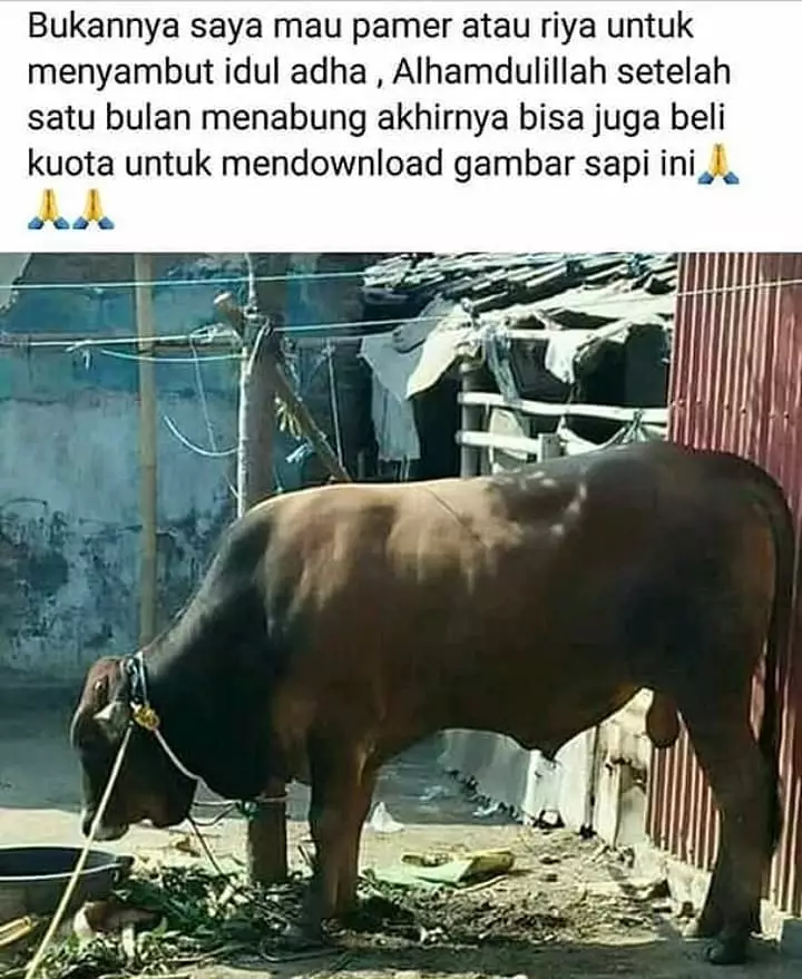 status FB lucu alasan kerja keras © 2020 instagram.com status FB lucu alasan kerja keras © 2020 instagram.com