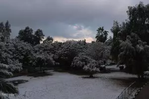 Biasa panas terik, ini penampakan langka Baghdad turun salju