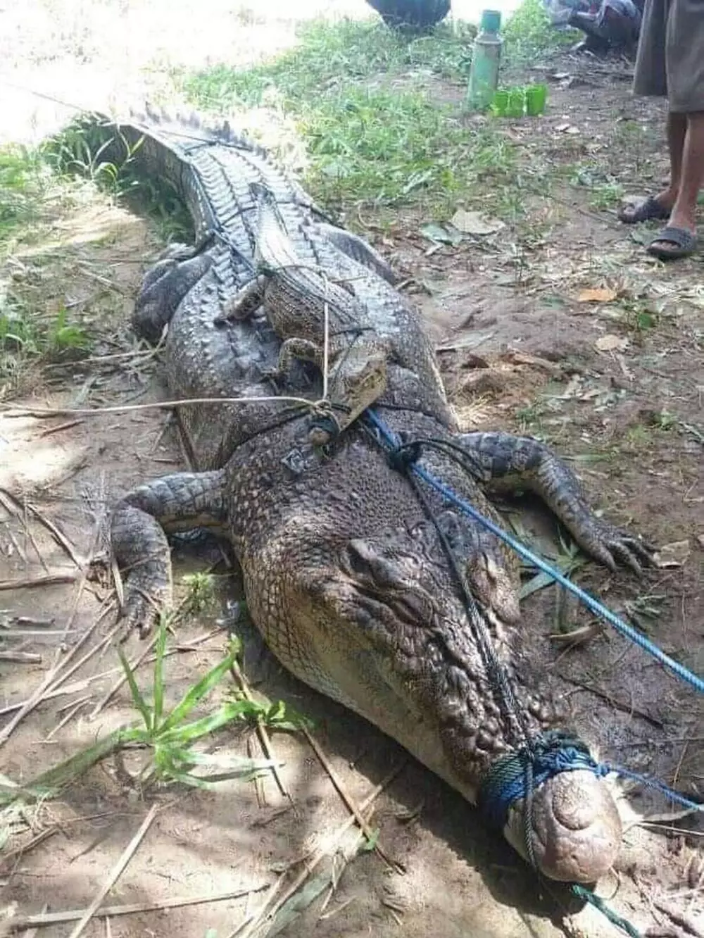 istimewa © 2020 brilio.net