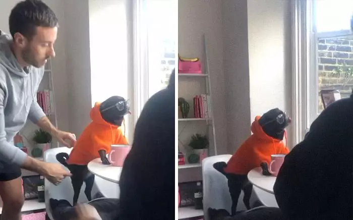 15 Potret usaha dapatkan foto Instagram boredpanda.com 15 Potret usaha dapatkan foto Instagram boredpanda.com