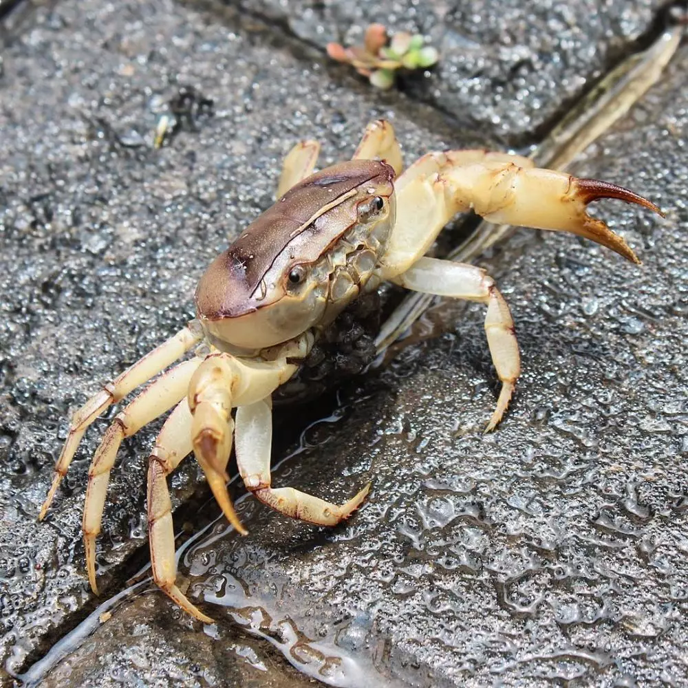 Instagram/@tirzaalvina1303 © 2020 brilio.net