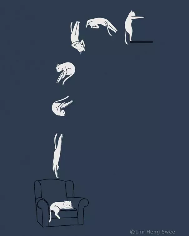 ilustrasi kucing unik Boredpanda.com