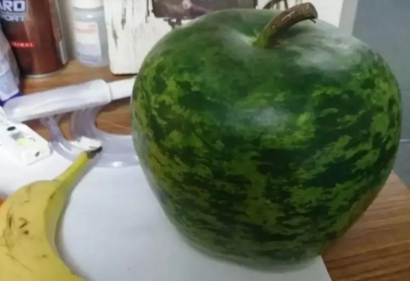 9 Potret buah dengan bentuk tak lazim Berbagai sumber