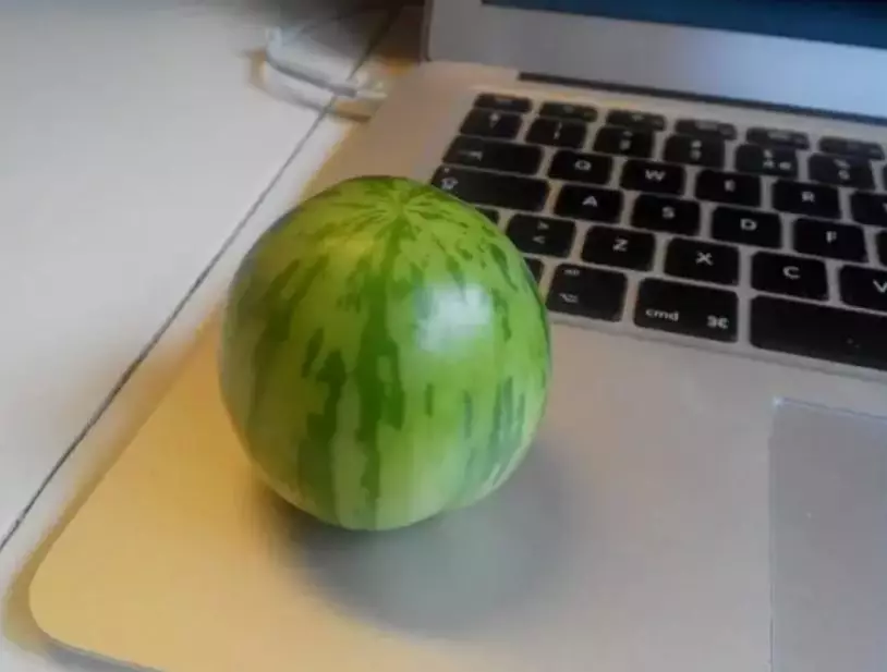 9 Potret buah dengan bentuk tak lazim Berbagai sumber