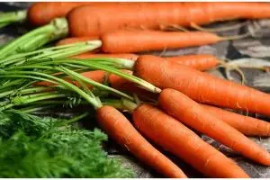 Cegah virus Corona, ini 7 nutrisi penambah imun tubuh dari ahli gizi