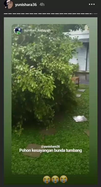 hujan deras jakarta seleb banjir © 2020 brilio.net hujan deras jakarta seleb banjir © 2020 brilio.net