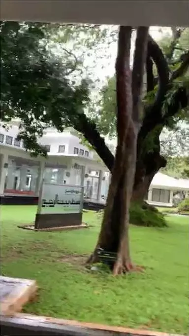 Istana Presiden sempat terendam banjir © 2020 berbagai sumber Istana Presiden sempat terendam banjir © 2020 berbagai sumber