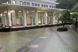 Sempat terendam banjir, ini 6 potret Istana Presiden usai surut
