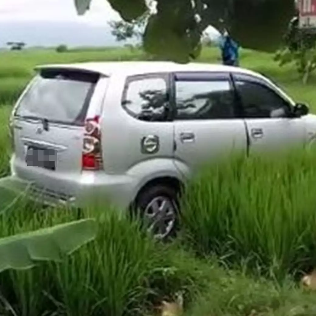 Viral mobil terjebak di tengah sawah tanpa jejak ban