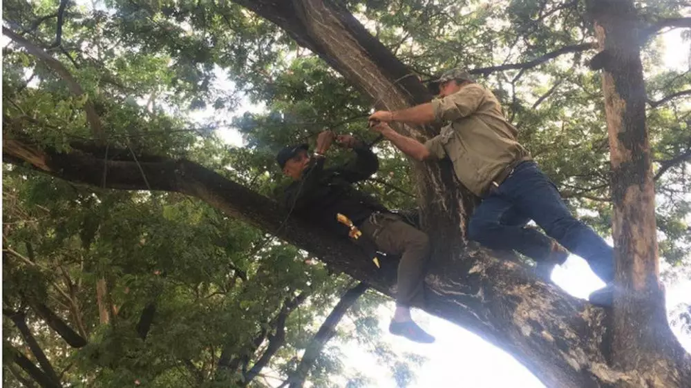 Matt Wright kembali ke Indonesia  berbagai sumber Matt Wright kembali ke Indonesia  berbagai sumber