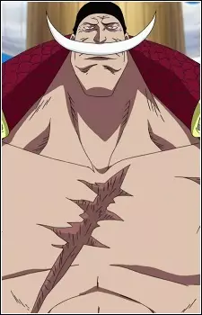 one piece terkuat istimewa