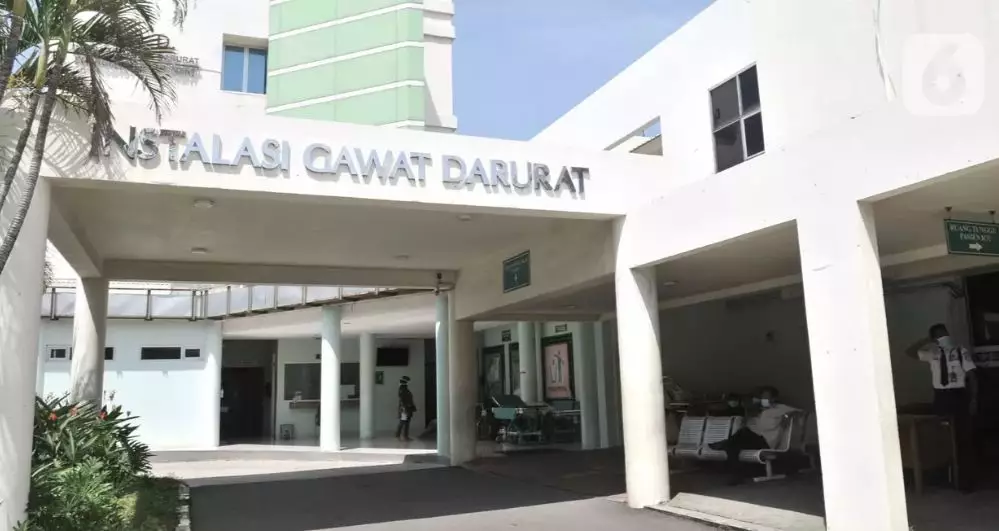 fakta WNI terkena Corona © 2020 merdeka.com ; liputan6.com fakta WNI terkena Corona © 2020 merdeka.com ; liputan6.com