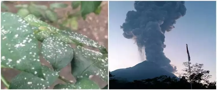 Gunung Merapi erupsi, hujan abu sampai ke Solo dan sekitarnya