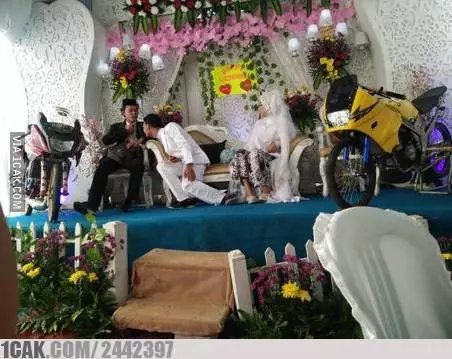 momen absurd pengantin di pelaminan © 2020 1cak.com momen absurd pengantin di pelaminan © 2020 1cak.com