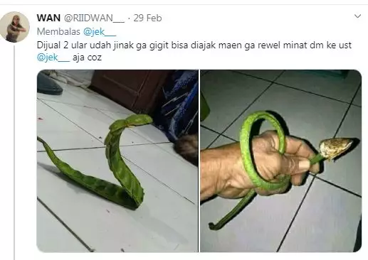 potret orang jualan ini bikin geleng kepala berbagai sumber potret orang jualan ini bikin geleng kepala berbagai sumber