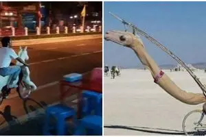 10 Momen absurd saat bersepeda ini bikin mikir keras